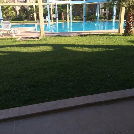 Rossa Holiday * 페티예